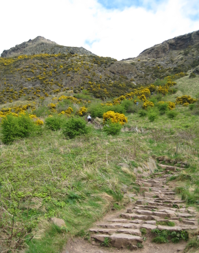 The steep upward path to Arthur's Seat, dotted with gorse and tourists.